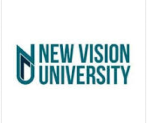 New Vision University